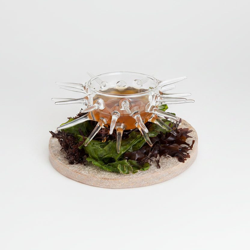Erizo. int. ø7 ext. ø 17 x 6 cm. 125 ml - 1 ud.