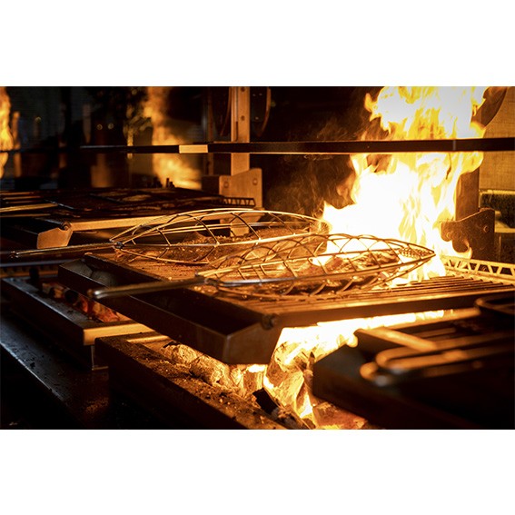 Parrilla rodaballo Josper. 45 x 30 cm - 1 Ud. - Klimer